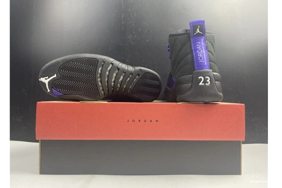 CT8013-005 12 Dark CT8013-005 Concord Air Black Jordan Retro 1031